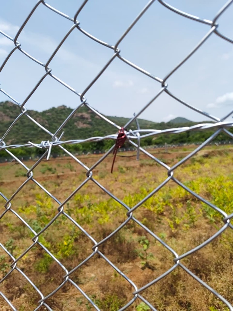Barbed Wire Fencing