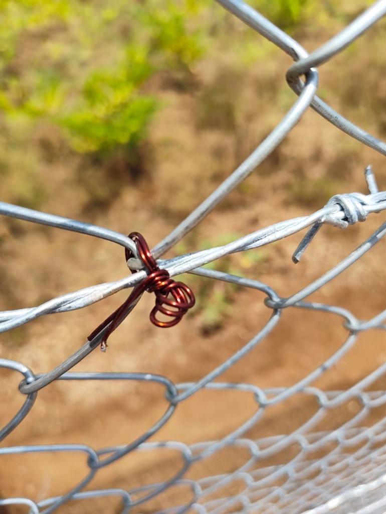Chain Link Fencing