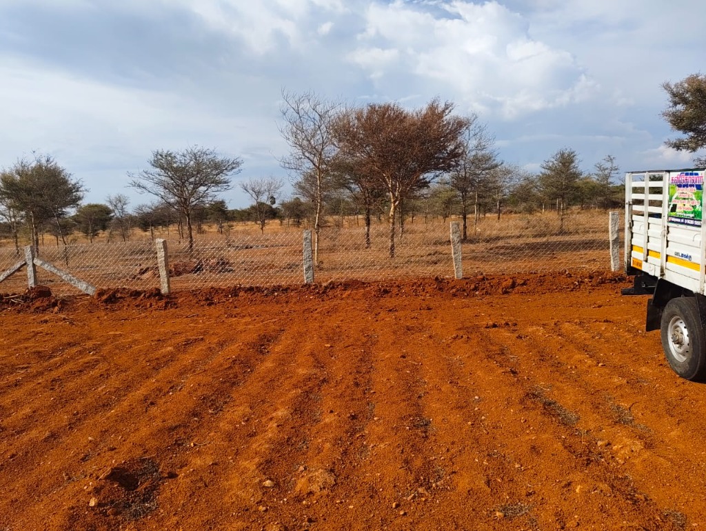 Site Preparation Work